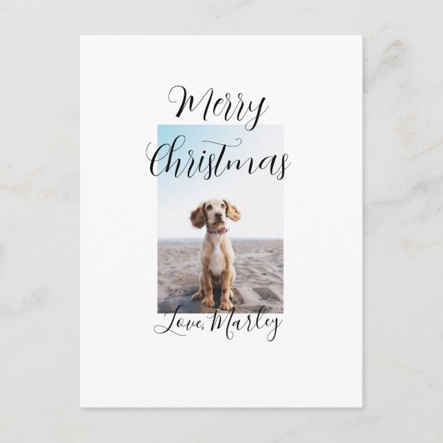 Postal Feliz Navidad mascota perro gato foto regalos de v (Anverso)