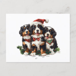 Postal Feliz Navidad Perros de Montaña Berneses
