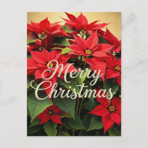 Postal Feliz Navidad Poinsettias Rojas