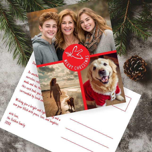 Postal FELIZ NAVIDAD Sencillo PERSONALIZADO 3 FOTO FESTIV (MERRY CHRISTMAS Simple Dove CUSTOM 3 PHOTO red Holiday Postcard
)