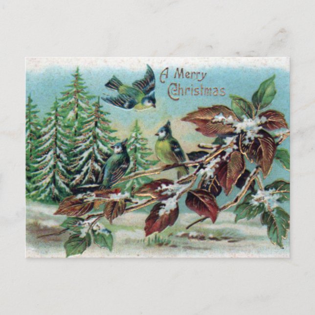 Postal Feliz Navidad Vintage Winter Birds (Anverso)