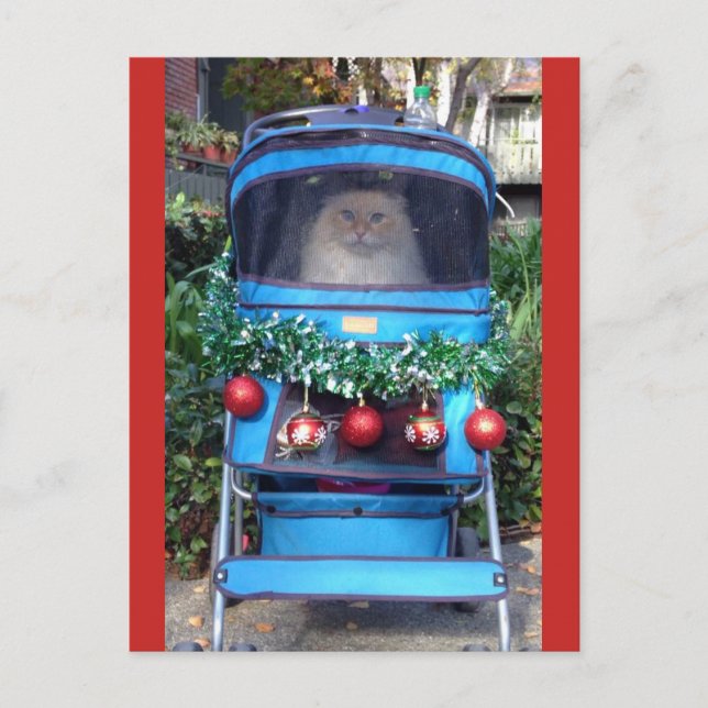 Postal Feliz Navidad y Feliz Año Nuevo (Anverso)