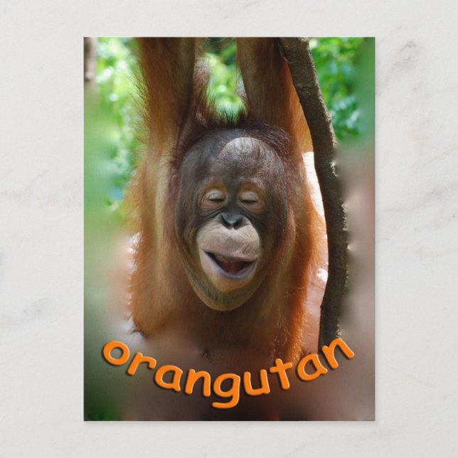 Postal Feliz Orangutan (Anverso)