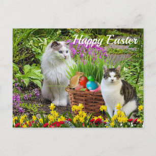 Postal Feliz Pascua de parte de tu gato festivo