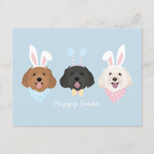 Postal Feliz Pascua Maltipoo Perros
