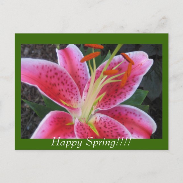 Postal ¡¡Feliz primavera!!Postcard (Anverso)