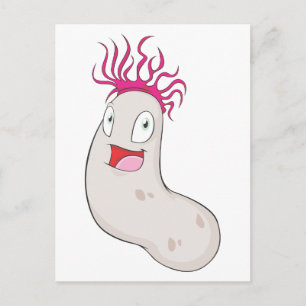 Postal Feliz Sea Cucumber