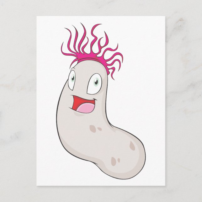 Postal Feliz Sea Cucumber (Anverso)