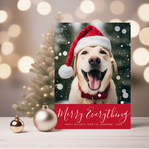 Postal Feliz todo mascota postcard
