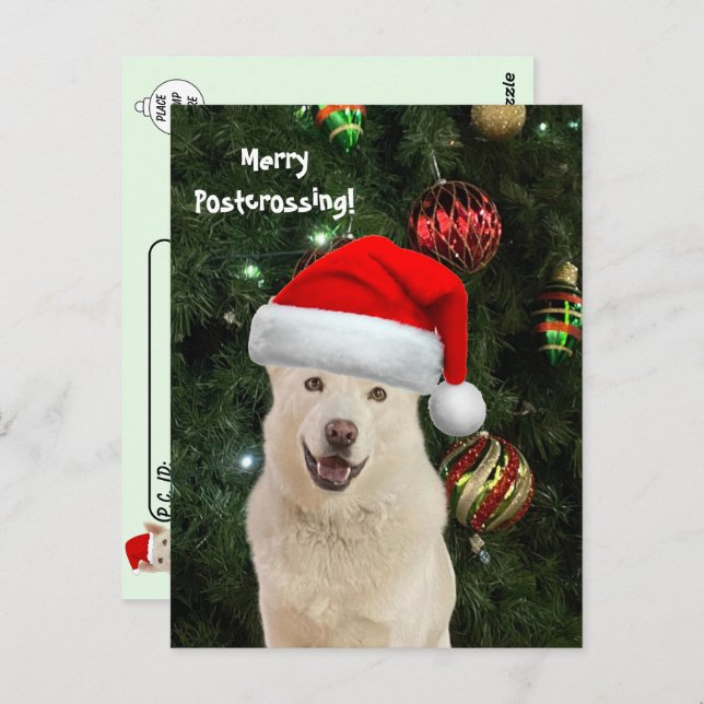 Postal Feliz travesía desde Crystal the Husky Dog (Anverso / Reverso)