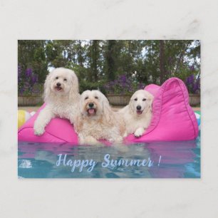 Postal ¡Feliz verano!
