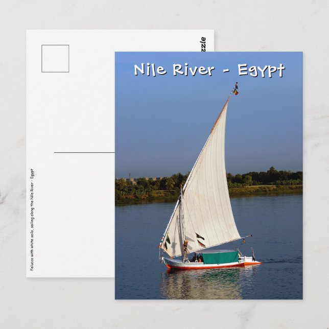 Postal Felucca navegando por el Nilo - Asuán, Egipto (Anverso / Reverso)