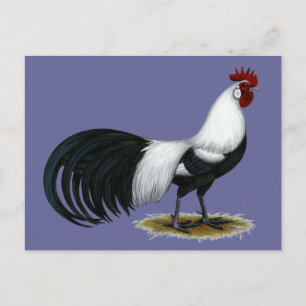 Postal Fénix: Rooster de remolino de plata