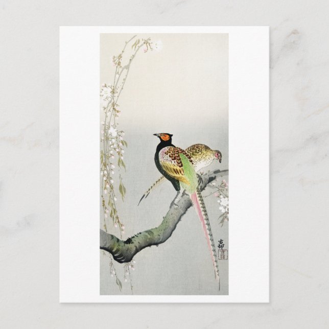 Postal Fenóasas y flores de cerezo - Ohara Koson - (Anverso)