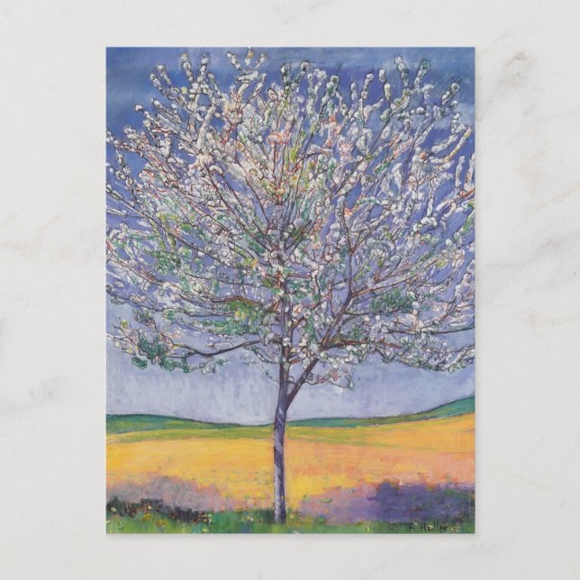 Postal Ferdinand Hodler - Árbol de cerezos en flor (Anverso)