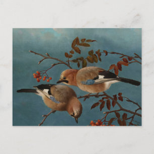 Postal Ferdinand von Wright - Arrendajos
