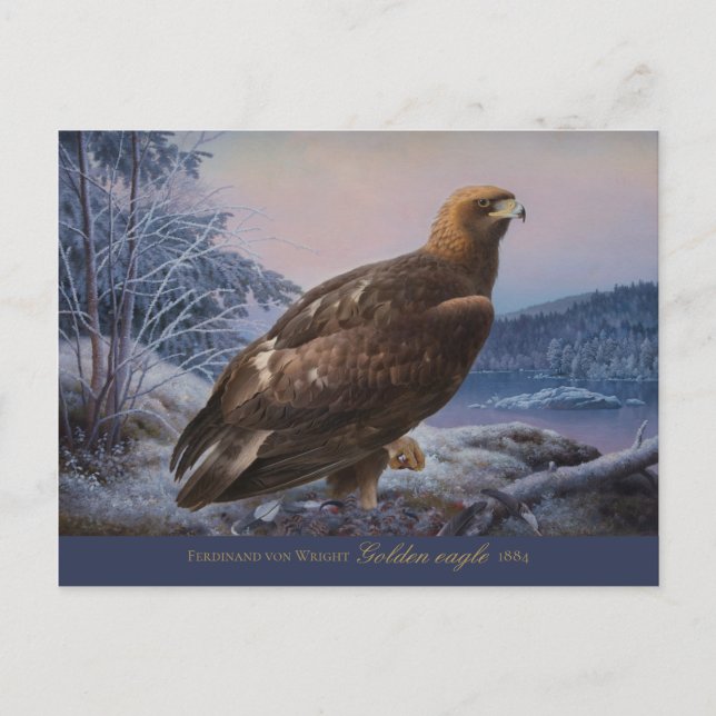Postal Ferdinand von Wright Golden Eagle 1884 CC0314 (Anverso)