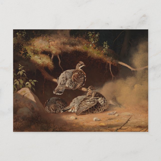 Postal Ferdinand von Wright - Hazel Grouse Wallow (Anverso)