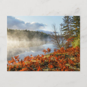 Postal Fermones en la línea costera   Paraíso, Michigan