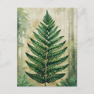 Postal Fern deja botánico