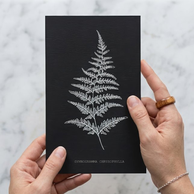Postal Fern - Gymnogramma Chrysophylla. Efecto de rayos X (Golden Fern Frond, Gymnogramma Chrysophylla. Postcard)