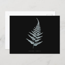 Postal Fern - Gymnogramma L’herminieri. Efecto de rayos X
