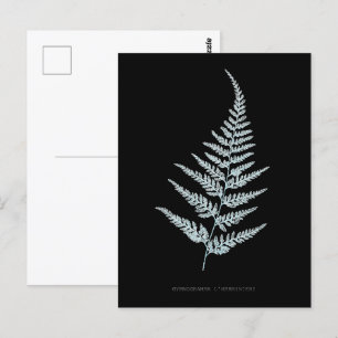 Postal Fern - Gymnogramma L’herminieri. Efecto de rayos X
