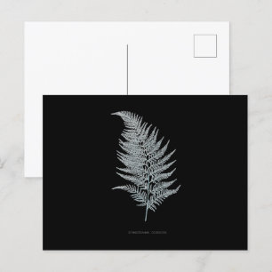 Postal Fern - Gymnogramma Ochracea - Efecto de rayos X -