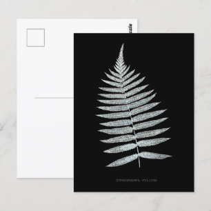 Postal Fern - Gymnogramma Villosa - Efecto de rayos X - 0