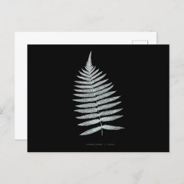 Postal Fern - Gymnogramma Villosa - Efecto de rayos X - 0