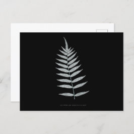 Postal Fern - Polipopodio Fraxinifolio - Efecto de rayos 