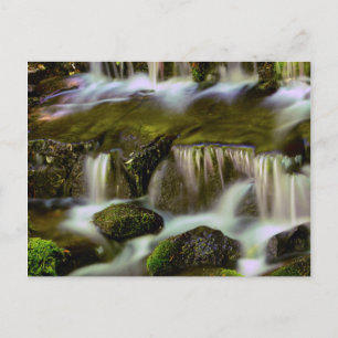 Postal Fern Spring, Parque Nacional Yosemite, California