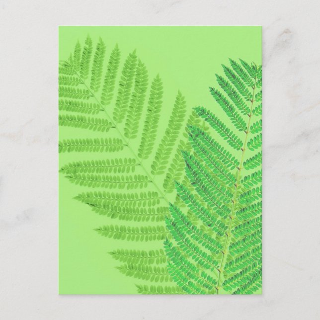 Postal Fern verde (Anverso)
