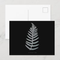 Fern - Vulgare de polipodio - Efecto de rayos X -