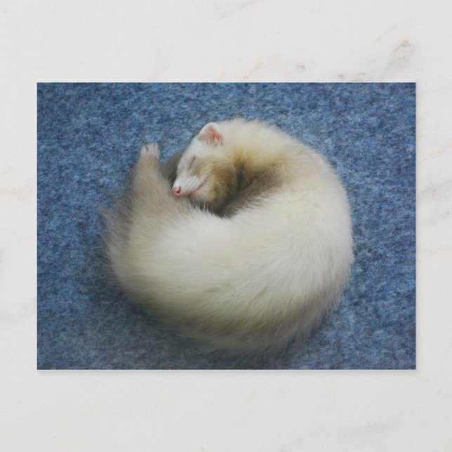 Postal Ferret 4 (Anverso)