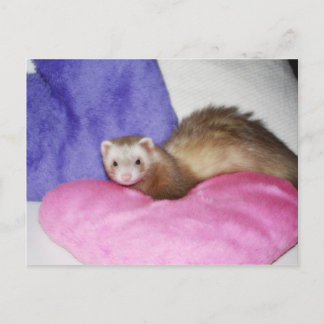 Postal Ferret 8