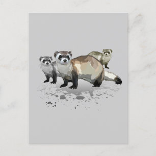 Postal Ferrets