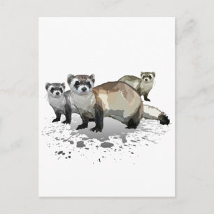 Postal Ferrets
