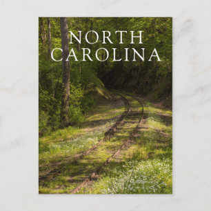 Postal Ferrocarril Abandonado En Un Bosque