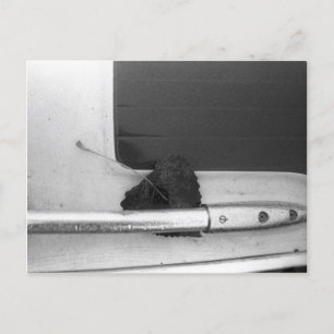 Postal Ferrocarril de hojas y costras