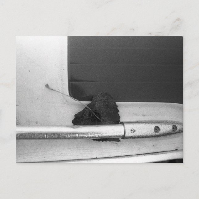 Postal Ferrocarril de hojas y costras (Anverso)