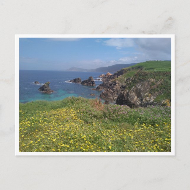 Postal Ferrol, Galicia (España) (Anverso)