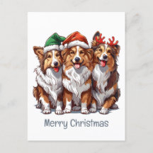 Ferry Christmas Shetland Sheepdogs