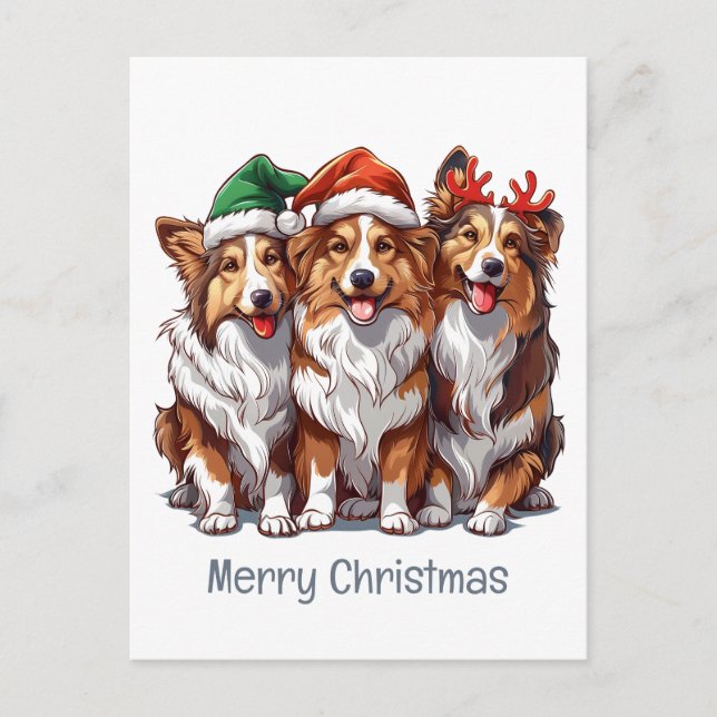 Postal Ferry Christmas Shetland Sheepdogs (Anverso)