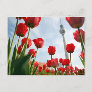 Postal Fersehturm Television Tower Berlín Alemania