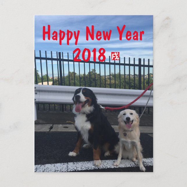 POSTAL FESTIVA バーニーズマウンテンドッグとワイルドミックスドッグ　年賀状　2018年　戌年 (Anverso)