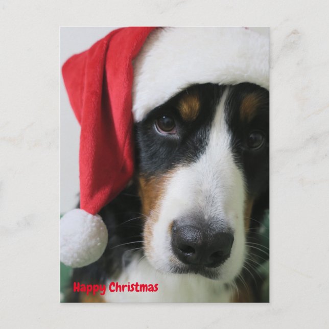 Postal Festiva バ・ ズ・ マ ウ グ テ ド・・・・・・・ snihtsnihtsnihtsnihtsnihtsn (Anverso)