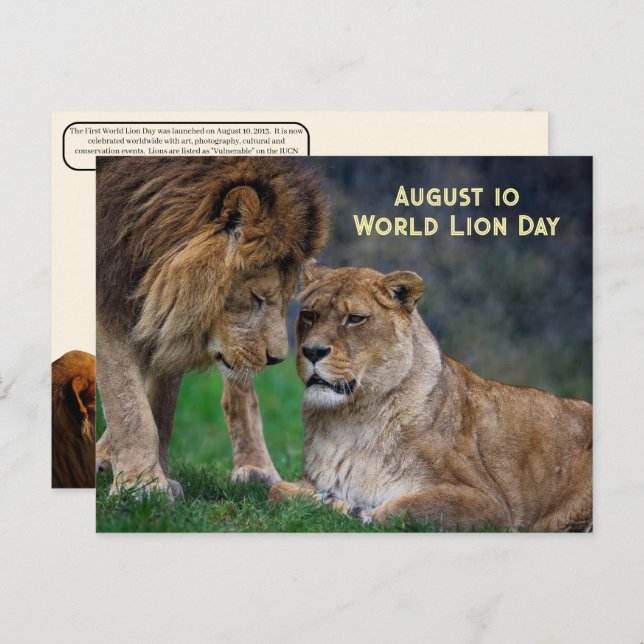 Postal Festiva 10 ago. Día Mundial de los Leones (Anverso / Reverso)
