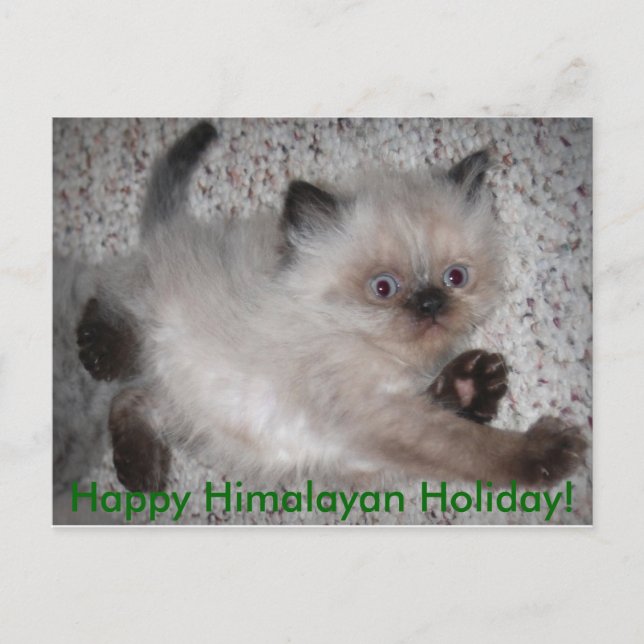 Postal Festiva ¡5x7zazzle, día de fiesta Himalayan feliz! (Anverso)