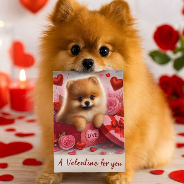 Postal Festiva A Valentine for You Cute Pomeranian Dog  (A charming Valentine's Day postcard designed for dog enthusiasts, featuring a delightful Pomeranian)